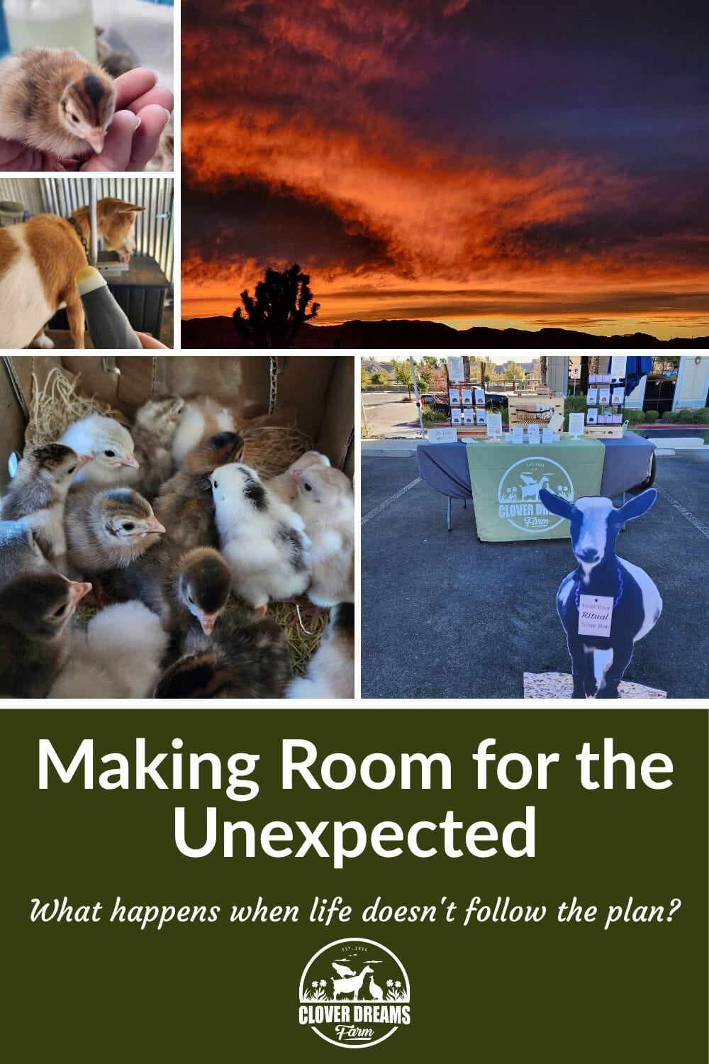 Making Room for the Unexpected
